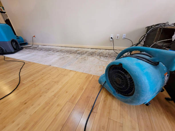 Professional Sewage Cleanup technician working in Aniwa, WI